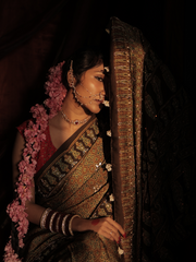 Brown Modal Silk Saree With Pal And Dapka Work